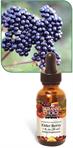 Elder Berry Liquid Extract benefits immune system health
